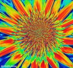 10557061_1544649665754471_1500468780120181442_o