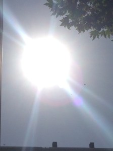 That we would have but A sun as fine as the one  Shining forth today! 