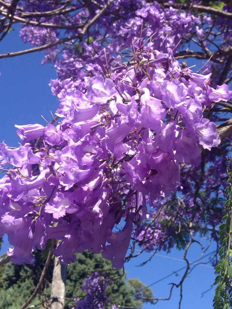 Taken with my iPhone