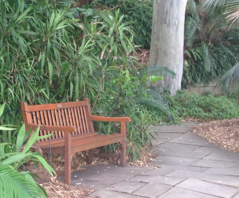 Taken with my iPhone 5