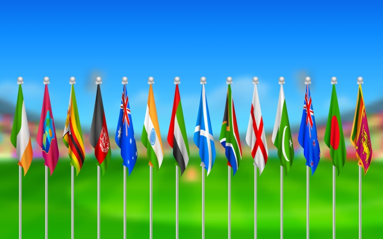 illustration of Flags of participating countries of cricket 2015